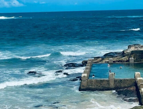 Back to Feng Shui Basics – Our New Place & Community